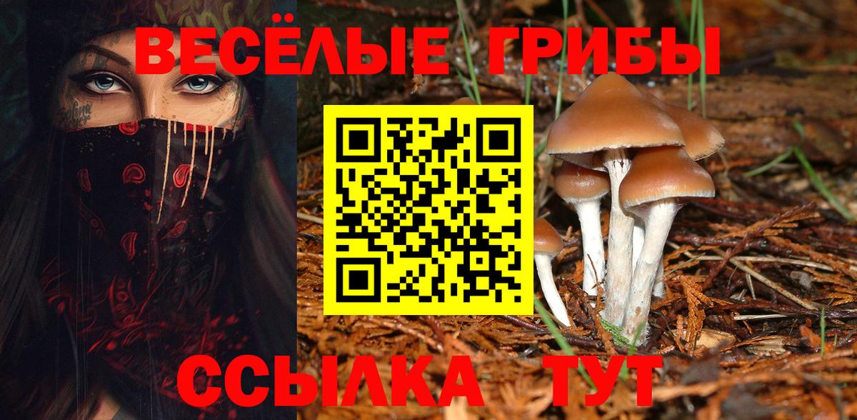 Ковров  Псилоцибиновые грибы мухоморы  Вход с VPN  Псилоцибиновые грибы Cubensis 